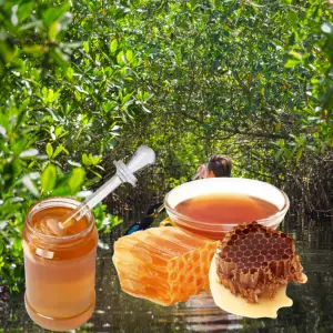 সুন্দরবনের মধু
