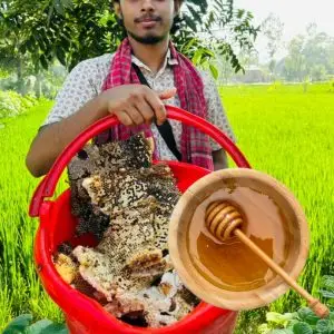 গ্রাম্য চাকের মধু