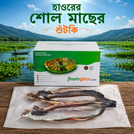 মাছের শুটকি