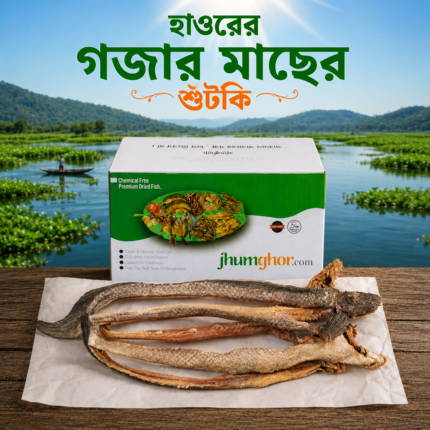 গজার মাছের শুটকি